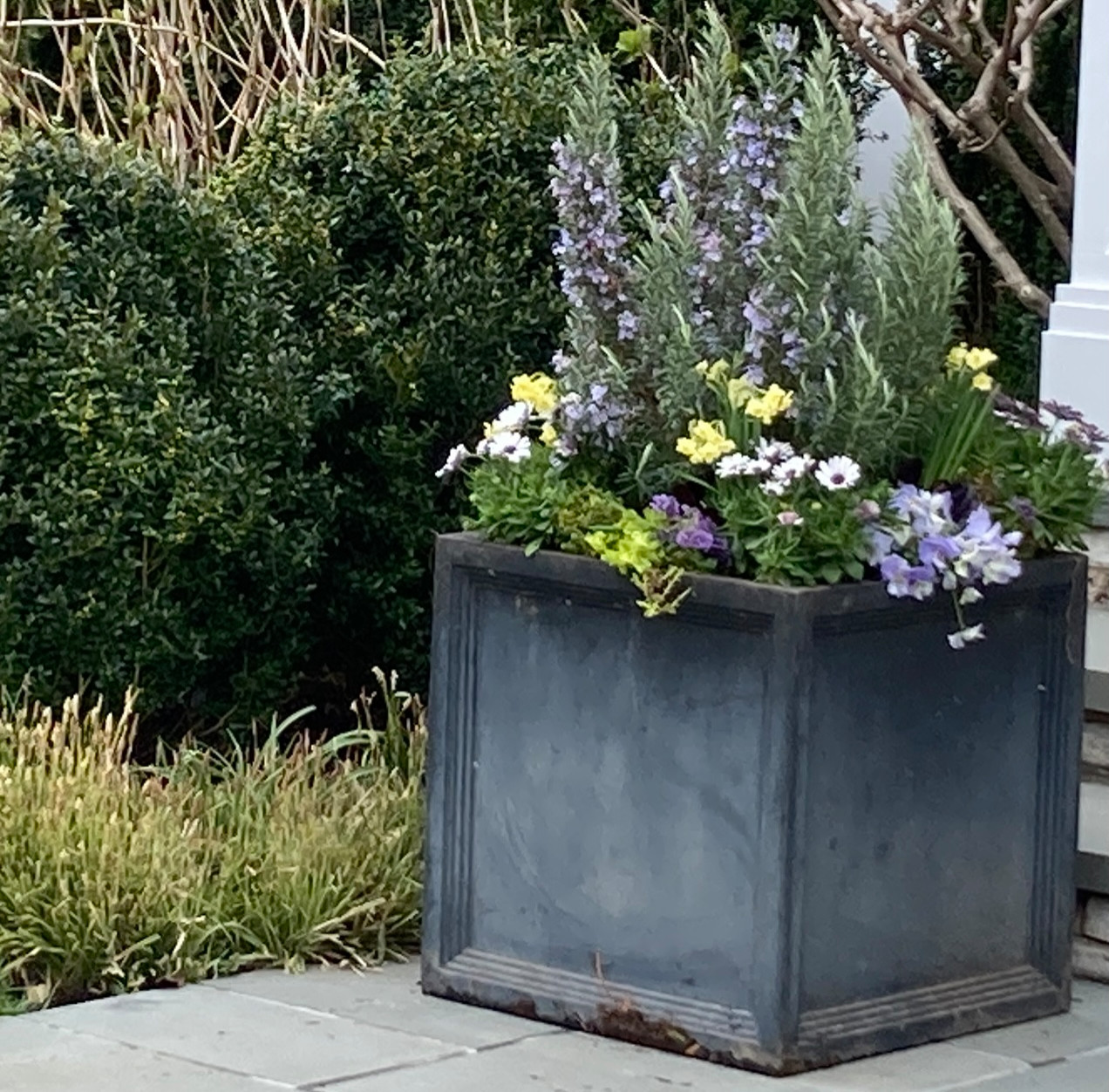 Spring and Summer Container Gardens