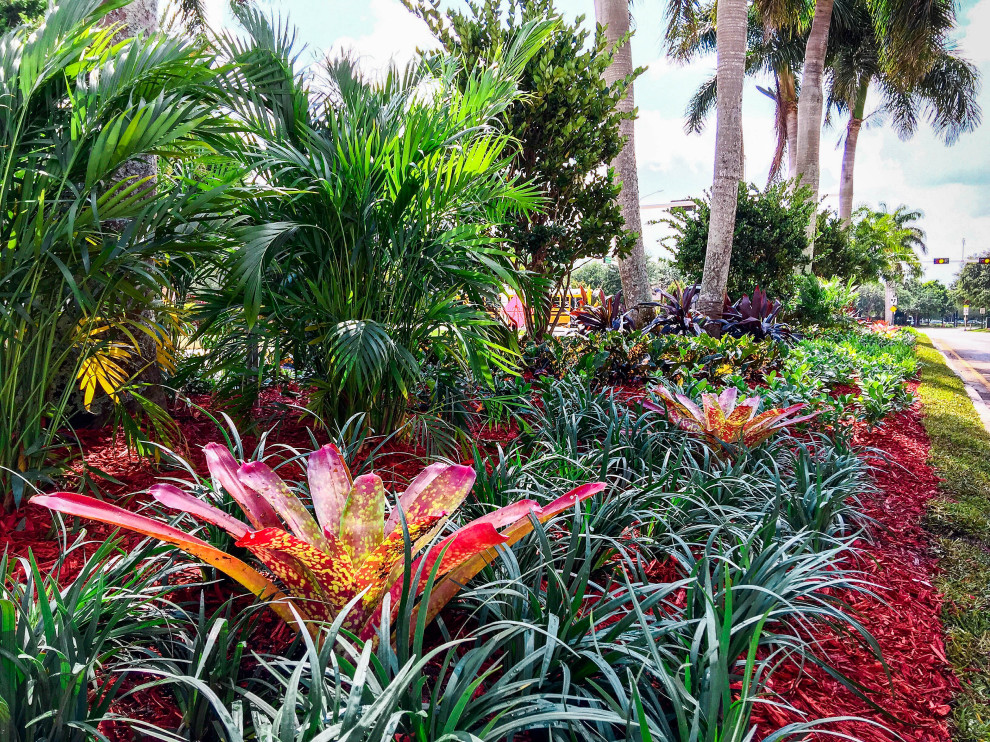 Photo of a large tropical sloped full sun xeriscape in Miami.
