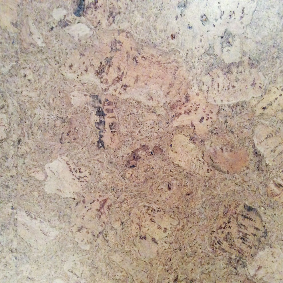 Inspiration for a transitional cork floor home design remodel in Edmonton with white cabinets, quartzite countertops, gray backsplash, ceramic backsplash and stainless steel appliances