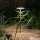 Hudson Lighting Ltd