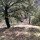webuser_90538629