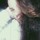 webuser_509148578