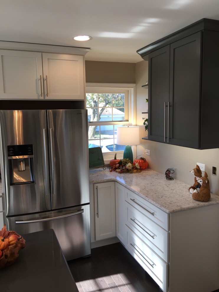 Inspiration for a transitional home design remodel in Chicago
