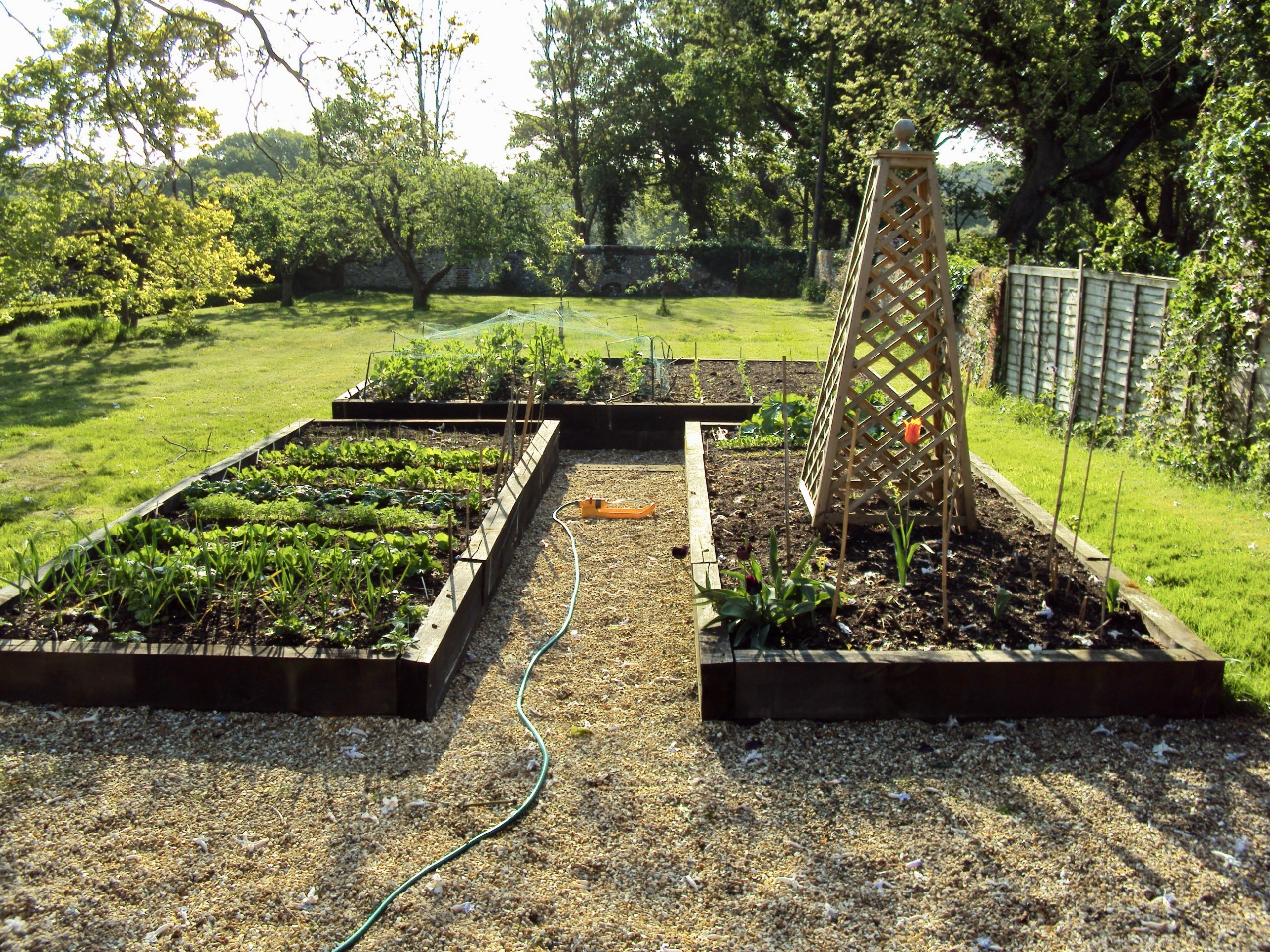 Vegetable Patches