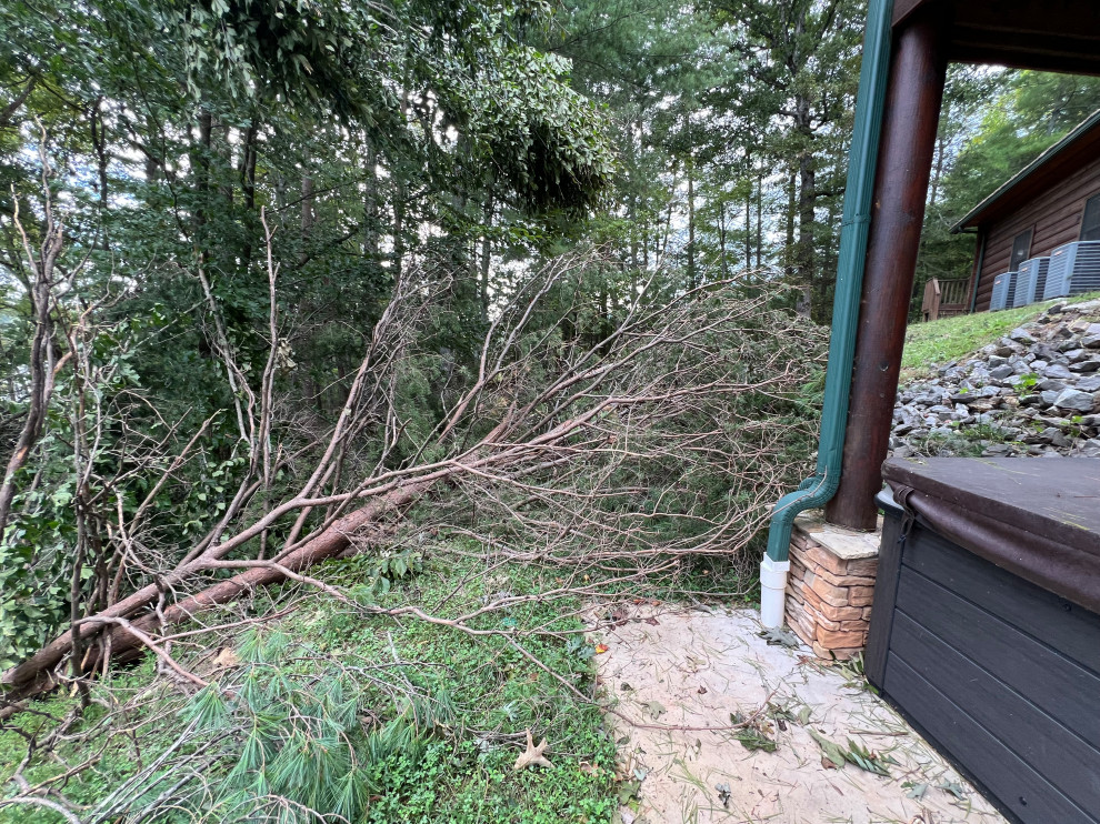 Lake Haven Lodge Tree Clearing