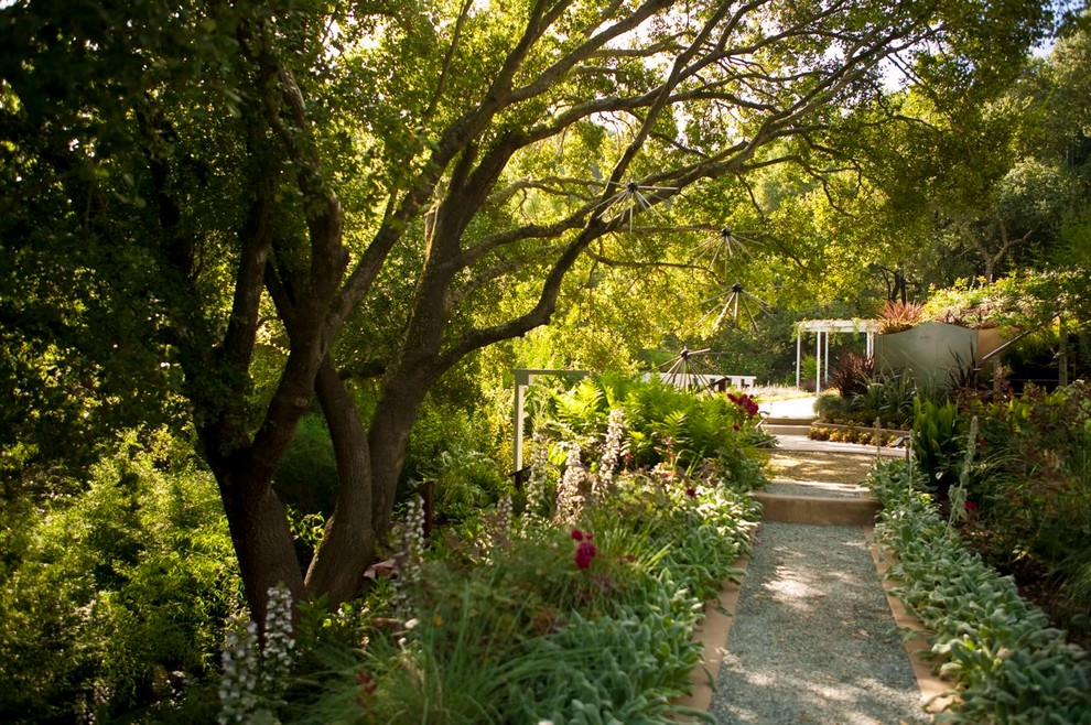 Contemporary garden in Sacramento.