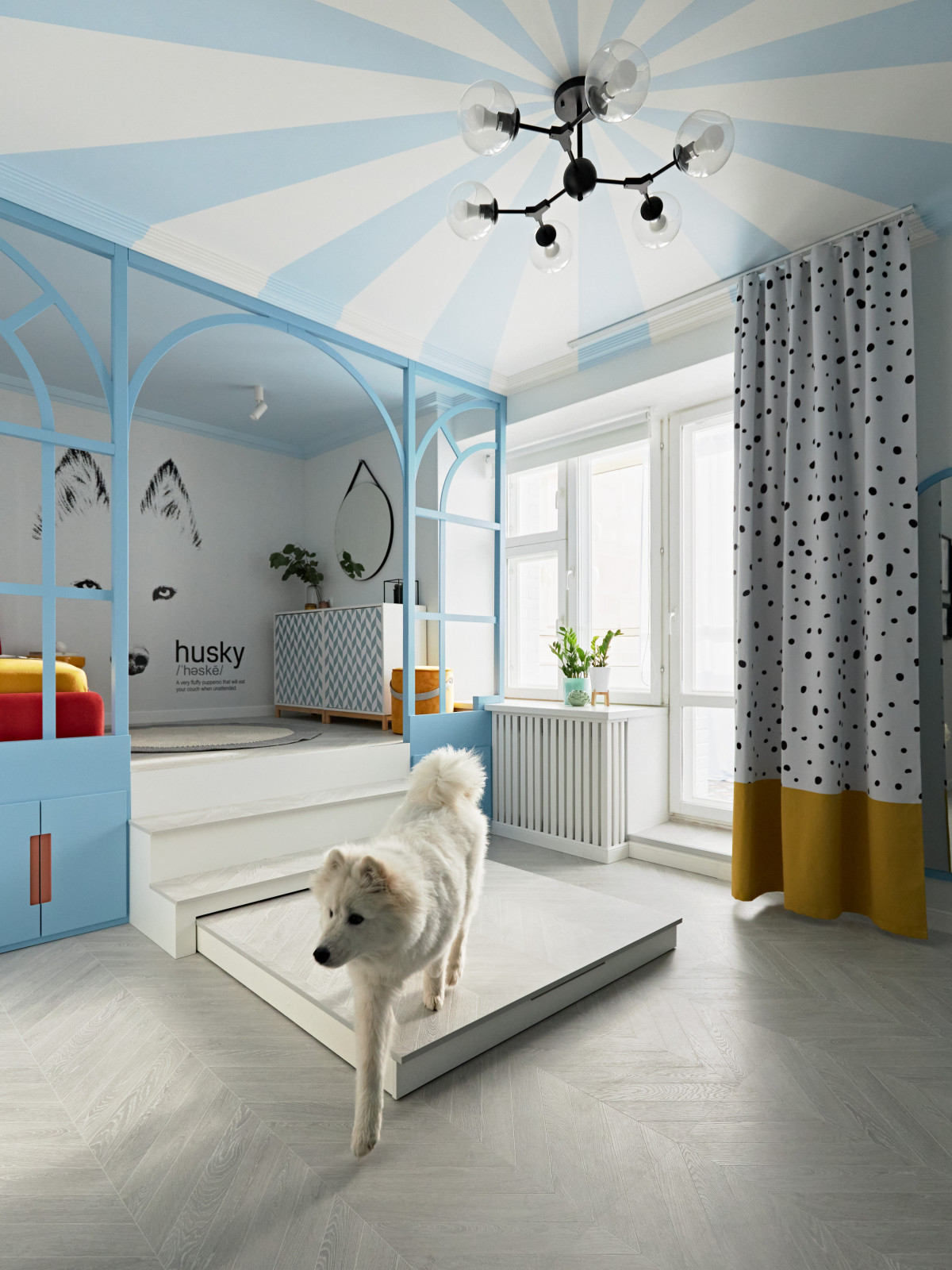 Квартира с хаски