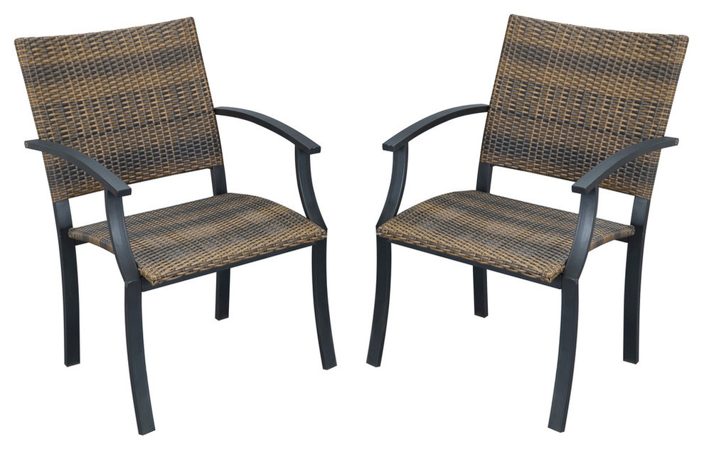 Powder Coated Steel Frame Arm Chair in Brown - Set of 2
