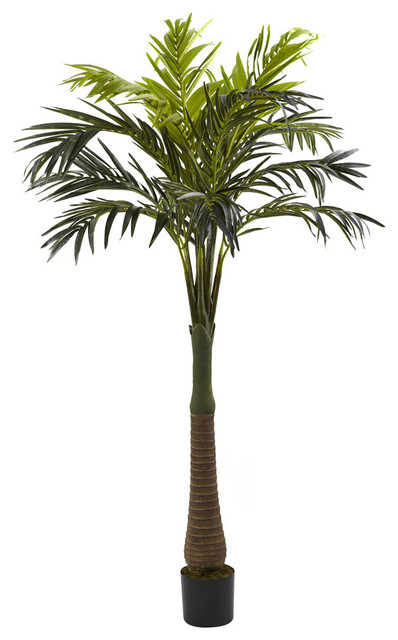 6.5' Coconut Palm Silk Tree