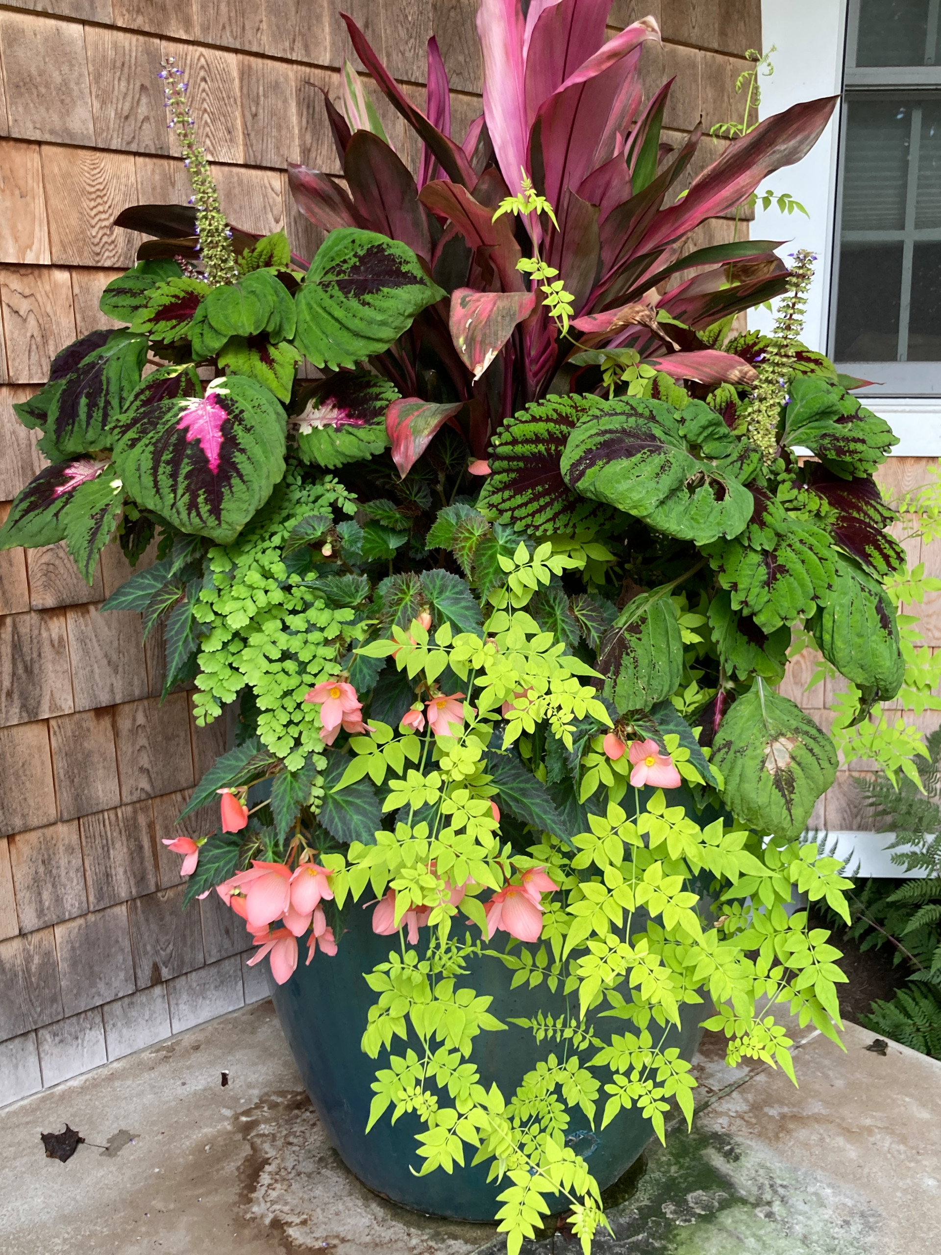 Spring and Summer Container Gardens