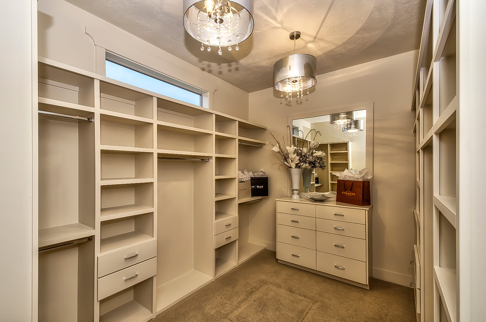 Photo of a large contemporary gender-neutral walk-in wardrobe in Boise with flat-panel cabinets, white cabinets and carpet.