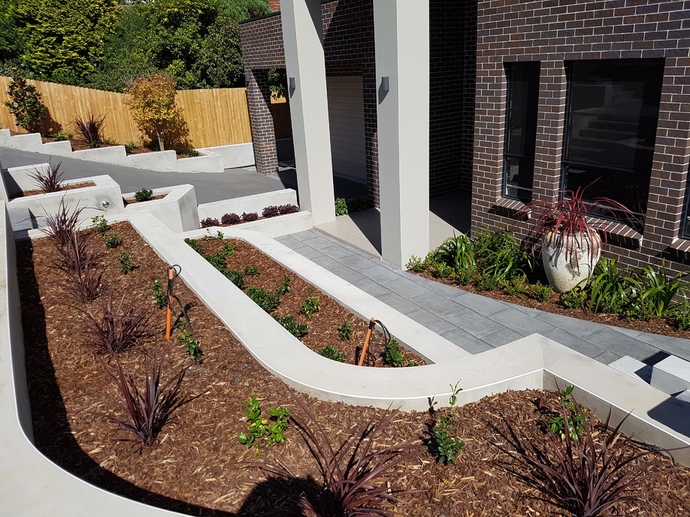 Photo of a modern garden in Sydney.