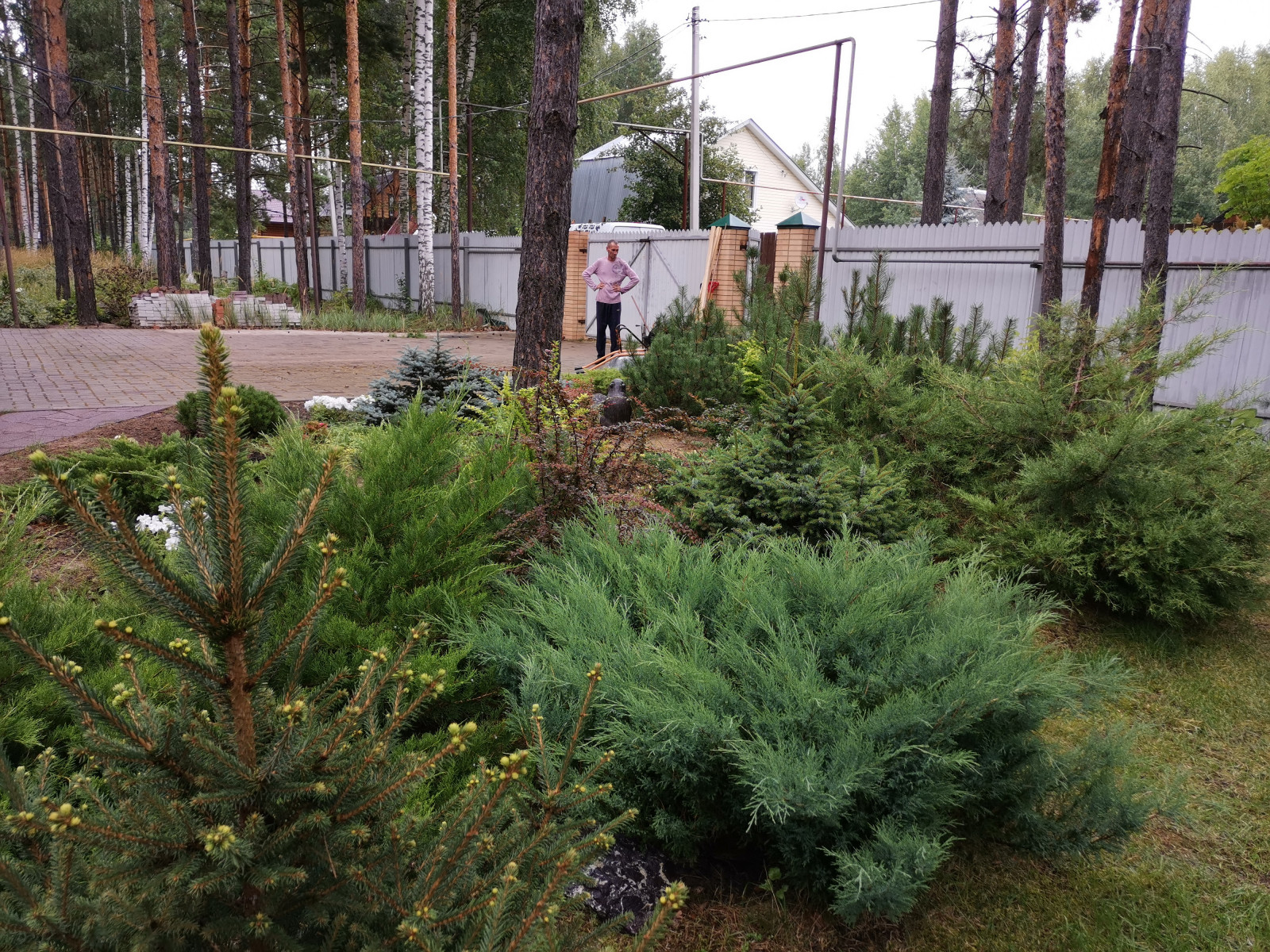 Лесная сказка Марий Эл. Сад в стиле Naturgarden