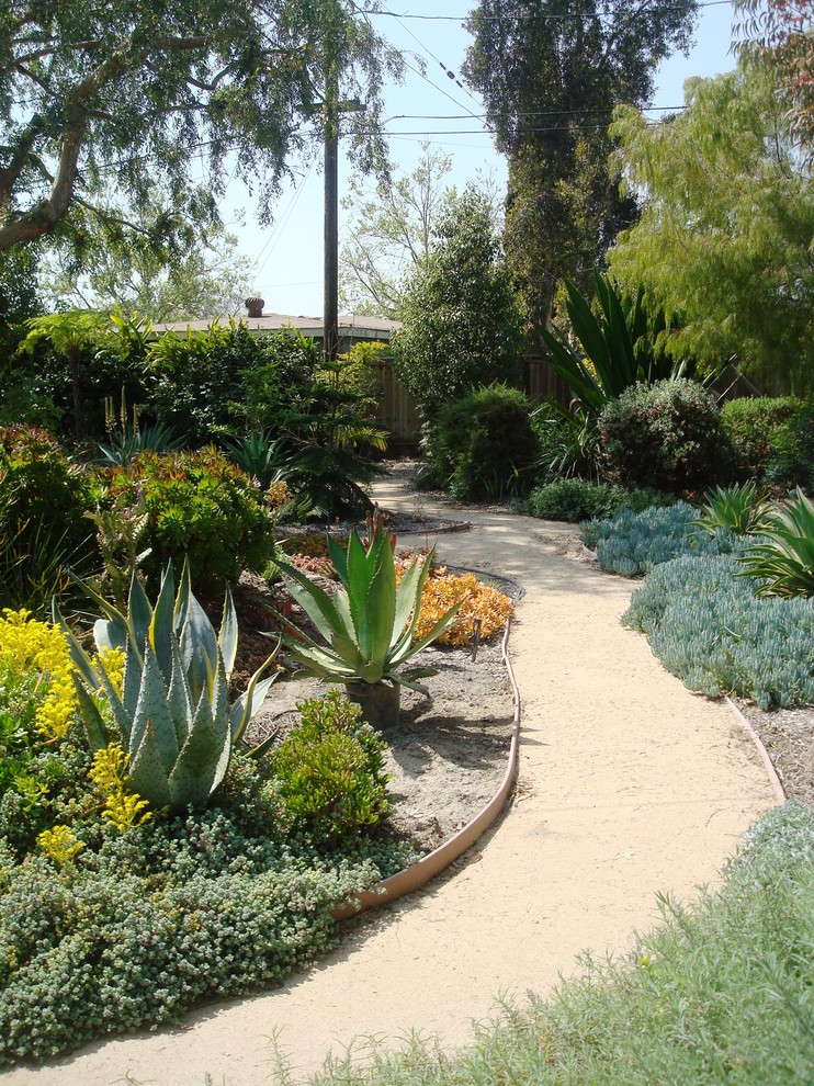Design ideas for a mediterranean backyard xeriscape in Los Angeles.