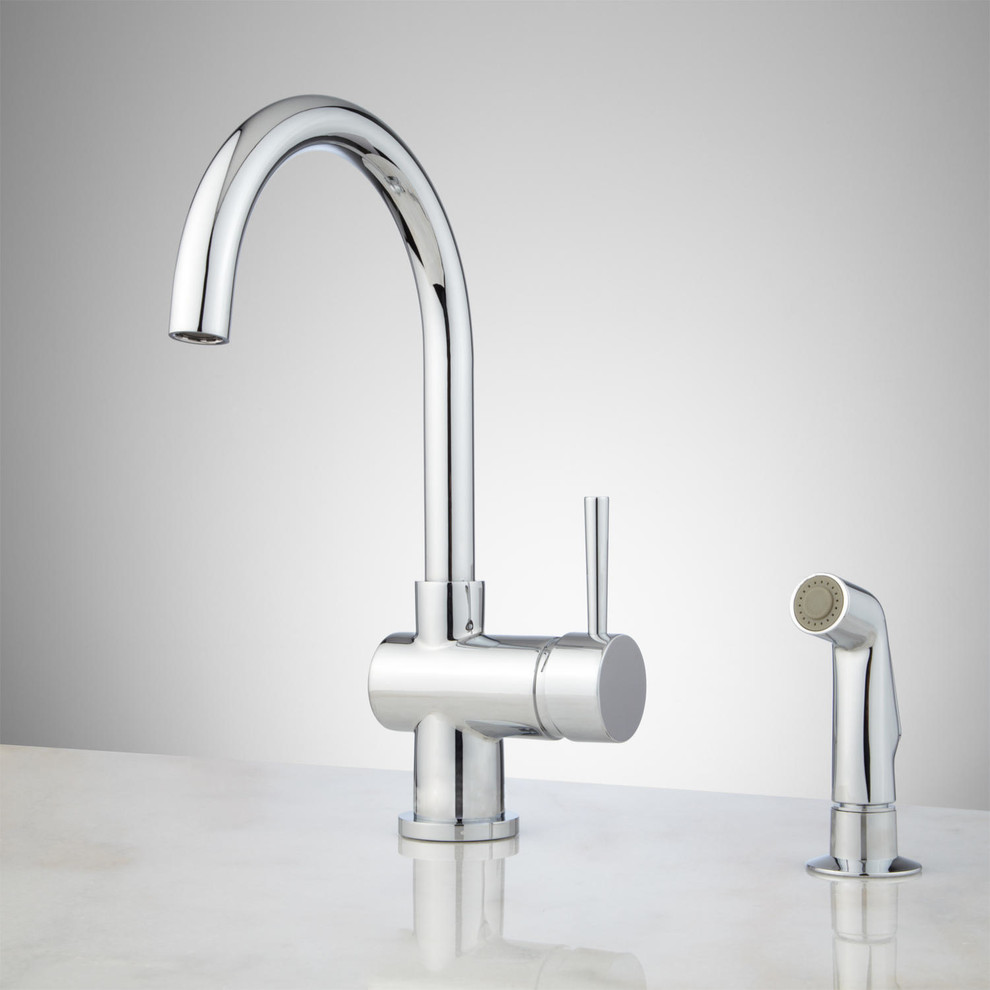 Antonia Single-Hole Kitchen Faucet with Side Spray