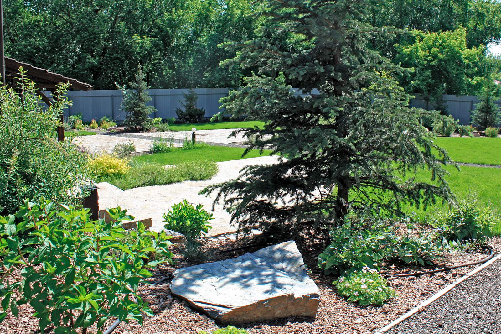 Сад Кандинский