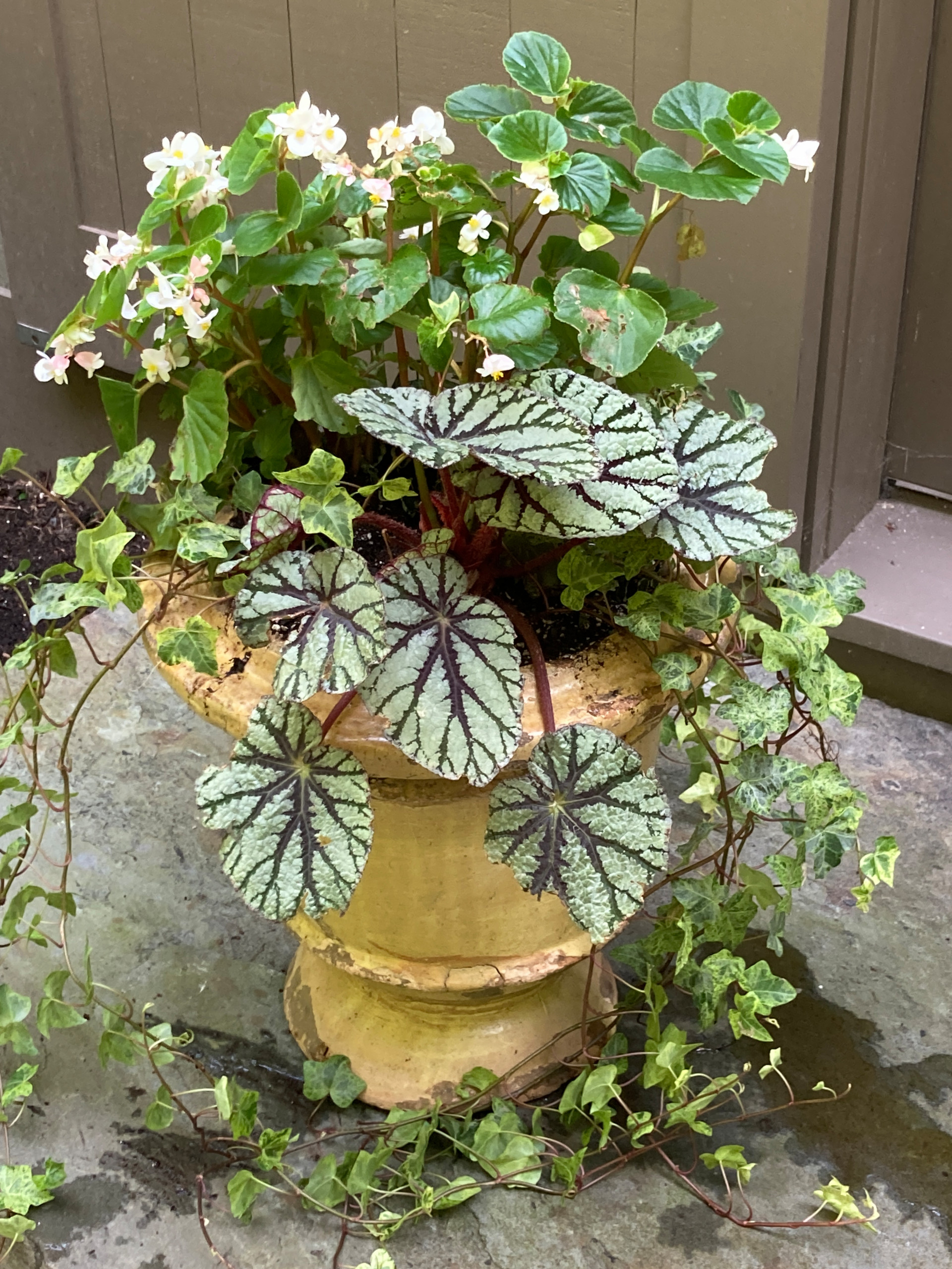 Spring and Summer Container Gardens