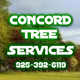 Concord Tree Services