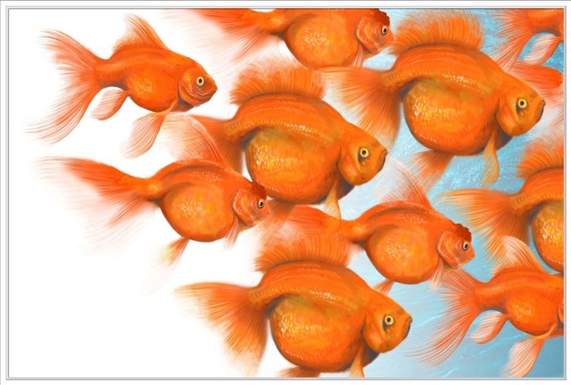 "Goldfish 02" Decorative Wall Art, 61.75"x41.75"