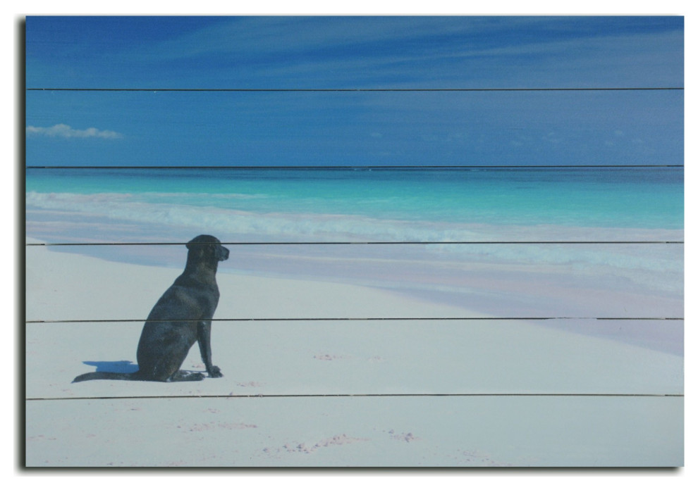 26" Energetic Dog at the Beach Wood Plank Wall Art Beach Style