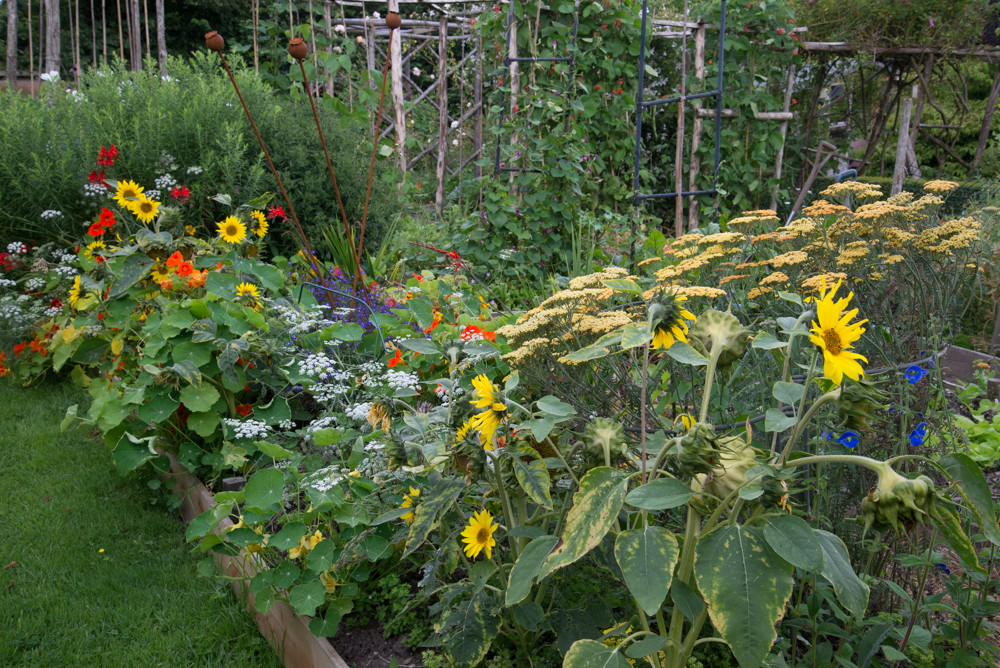 A Plantsman Garden