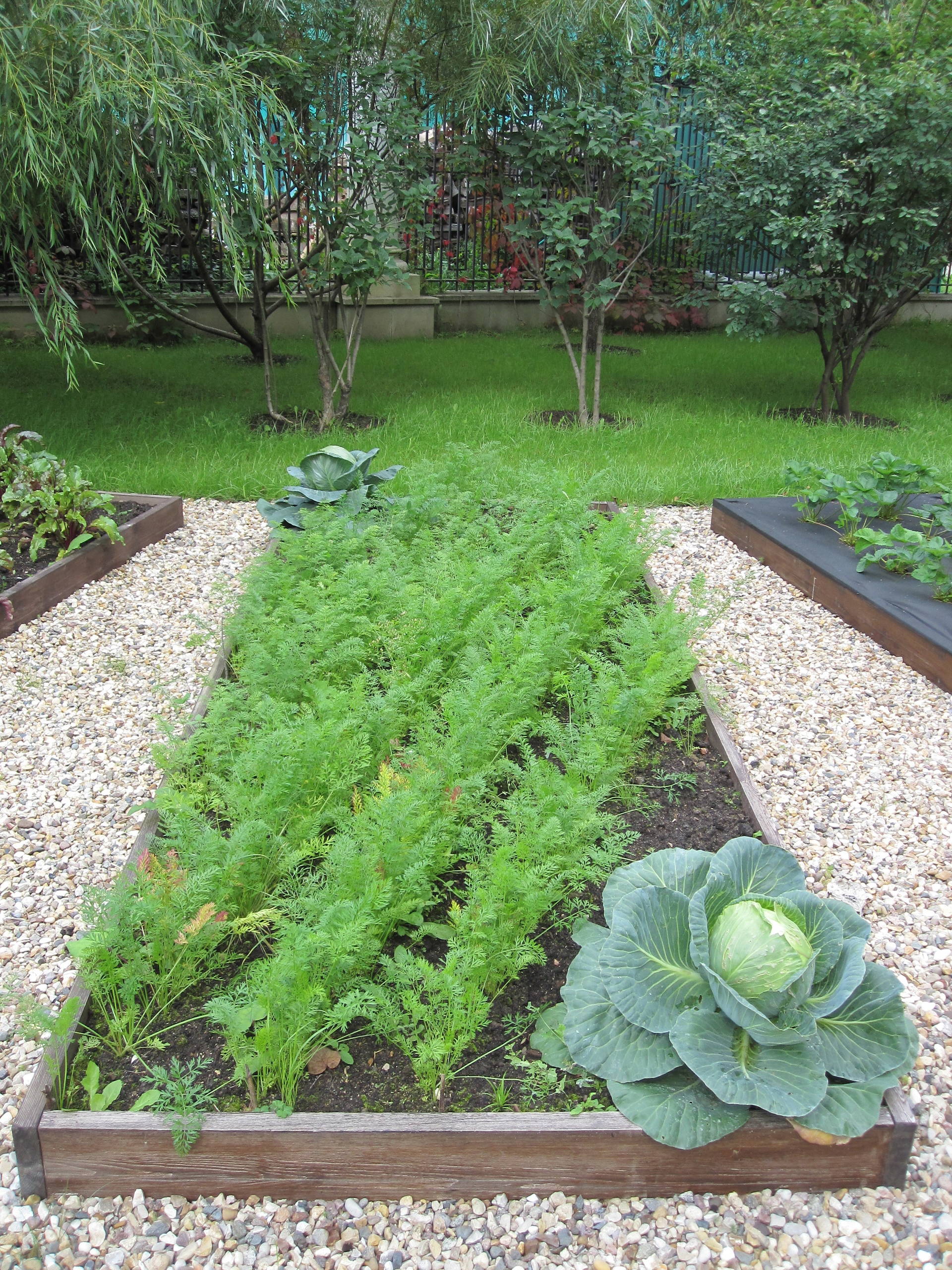 Ландшафтный дизайн садового участка – как оформить красивый сад и огород на даче