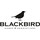 Blackbird Homes & Renovations