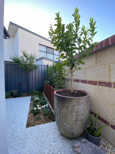 A Tiny Sanctuary contemporaneo-jardin