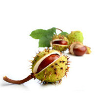 Gartenhaus design Gartenhaus design