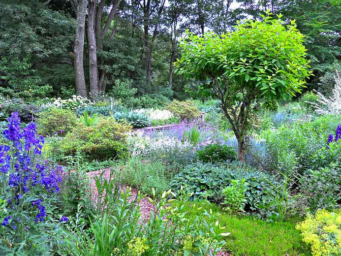 native gardens in New Canaan by Peter Atkins and Associates