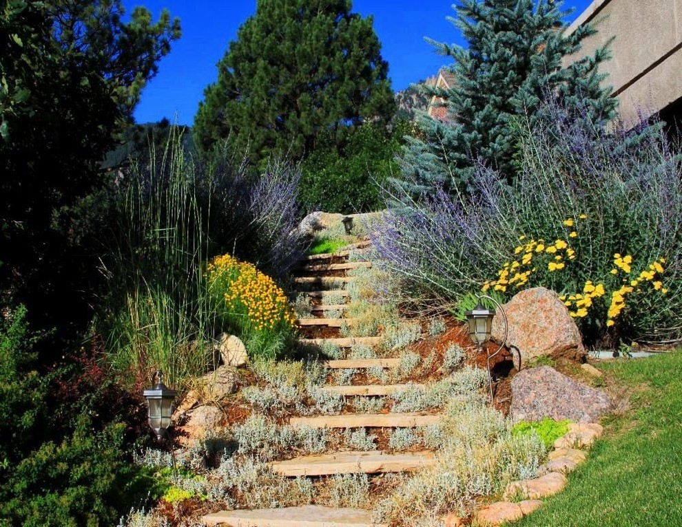 Design ideas for a traditional sloped garden in Denver with with rock feature.