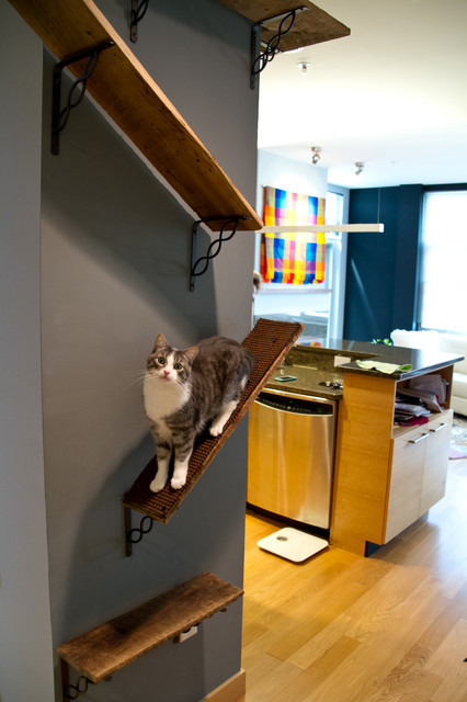 climbing frames for cats