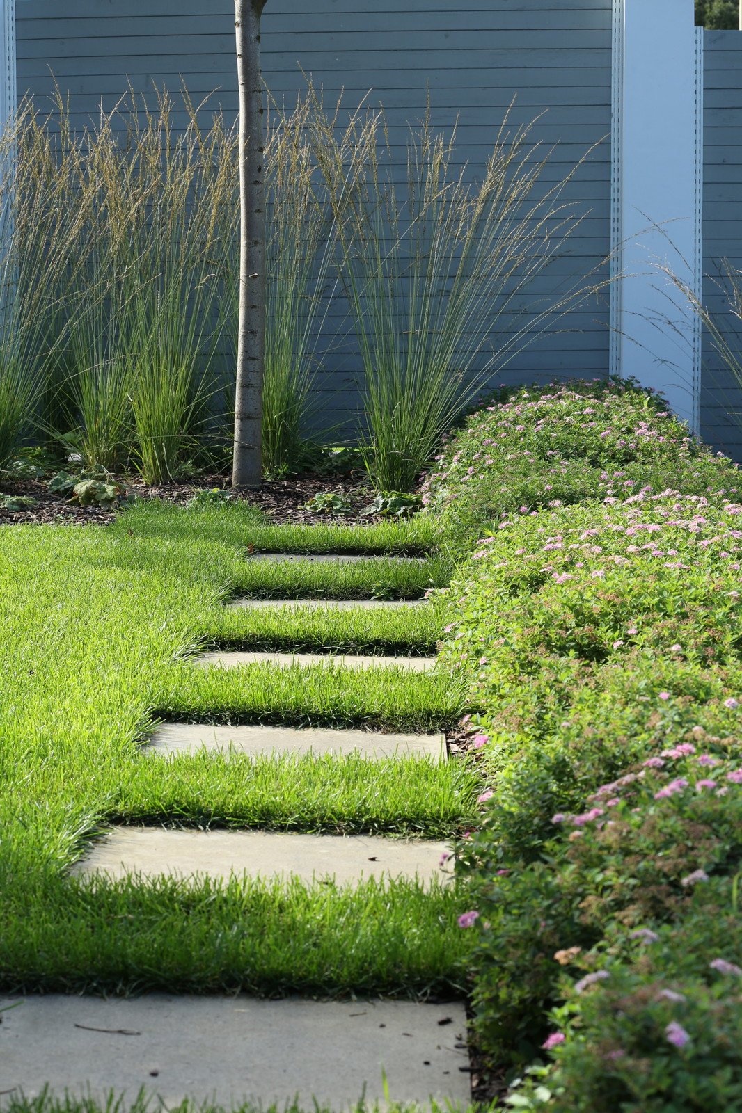 Перспектива