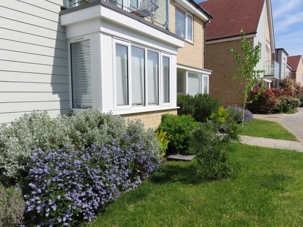 Front Garden, Essex