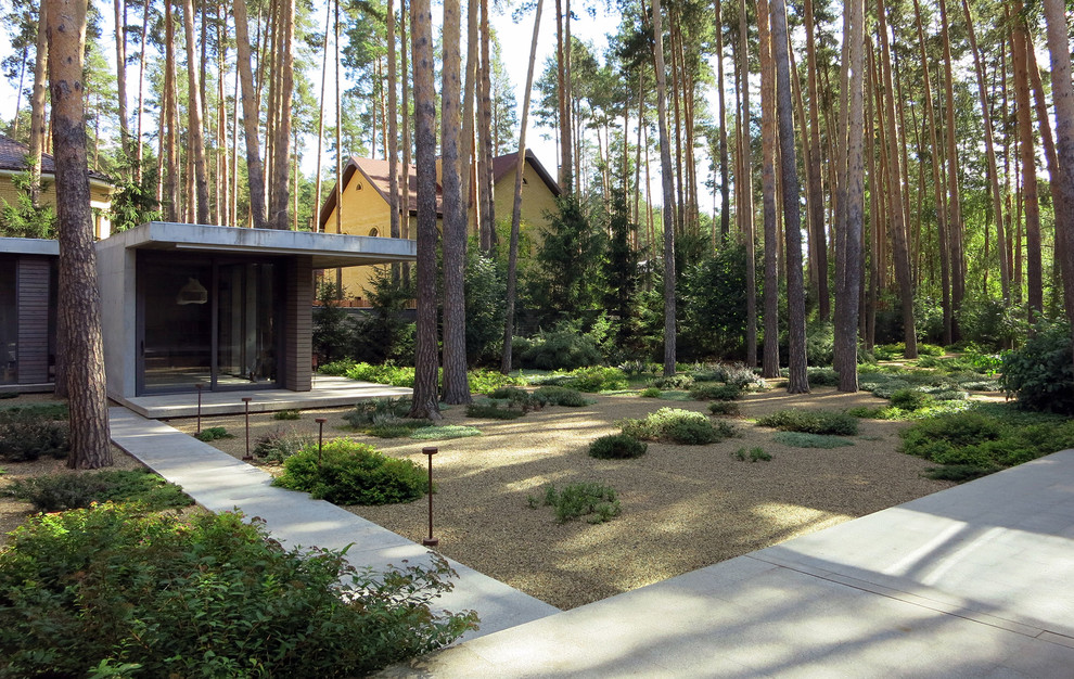 Лесные дорожки, явные и неявные