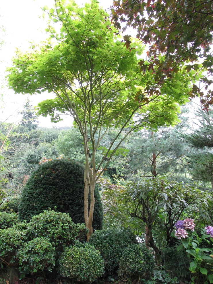 Oriental garden in Germany