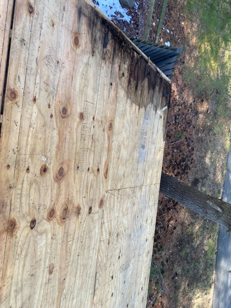 Shed Roof Repair