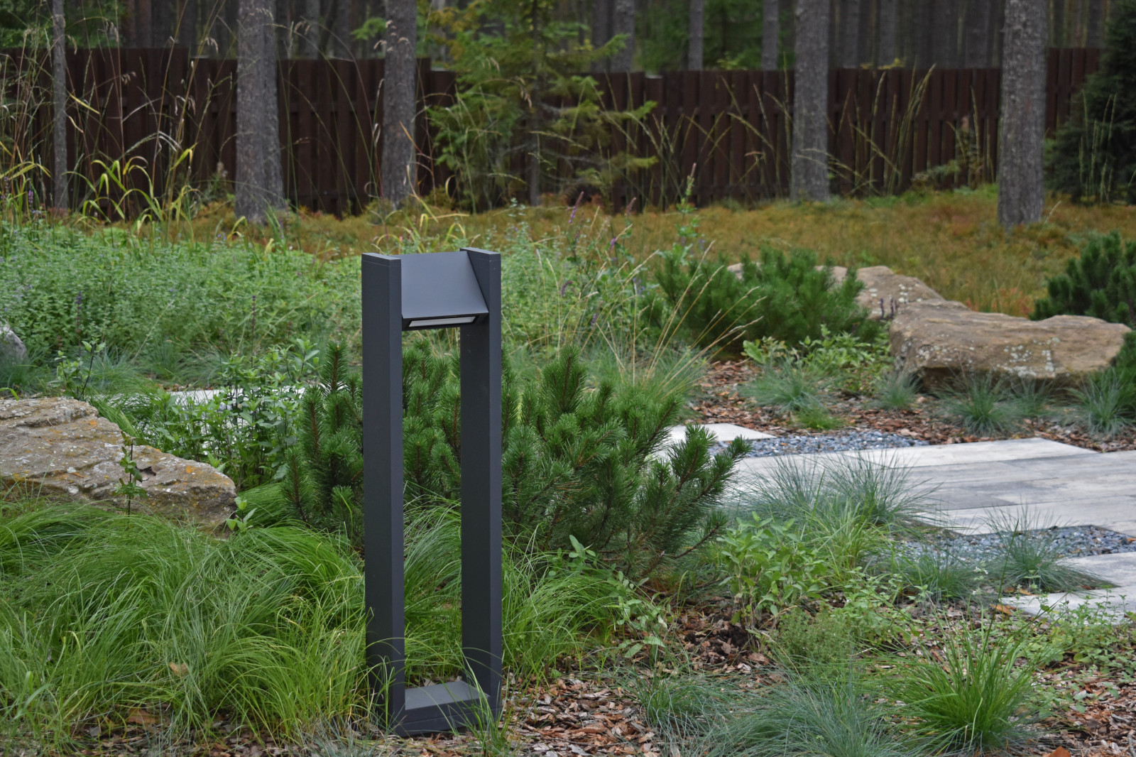 Проект "Волшебное озеро"