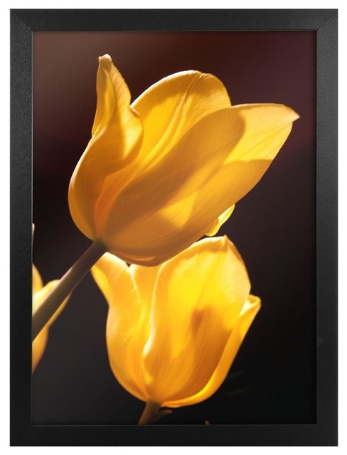 Tulips Framed Canvas Art