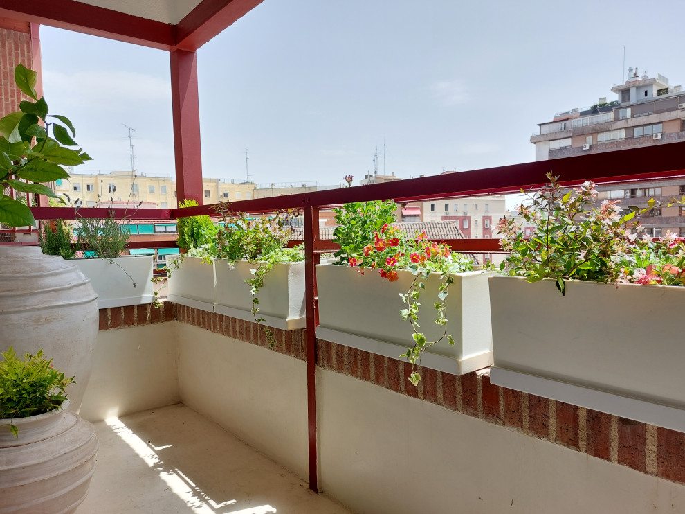 Diseño de terraza contemporánea pequeña en azotea con jardín de macetas y barandilla de metal