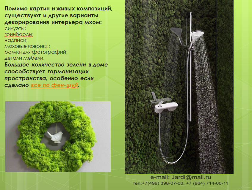 Мох в интерьере
