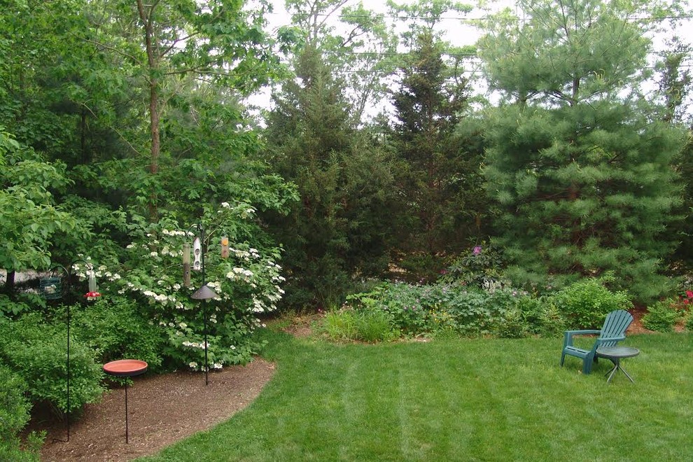 Photo of a transitional landscaping in Boston.