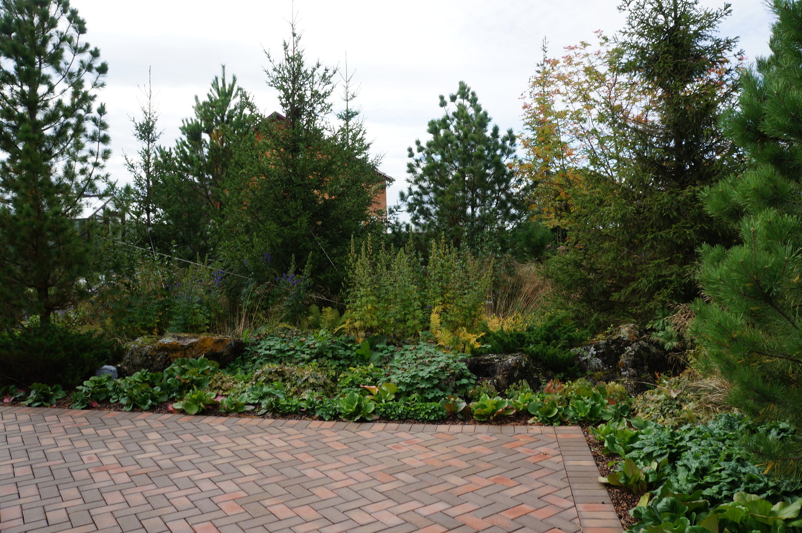 Счастливый сад