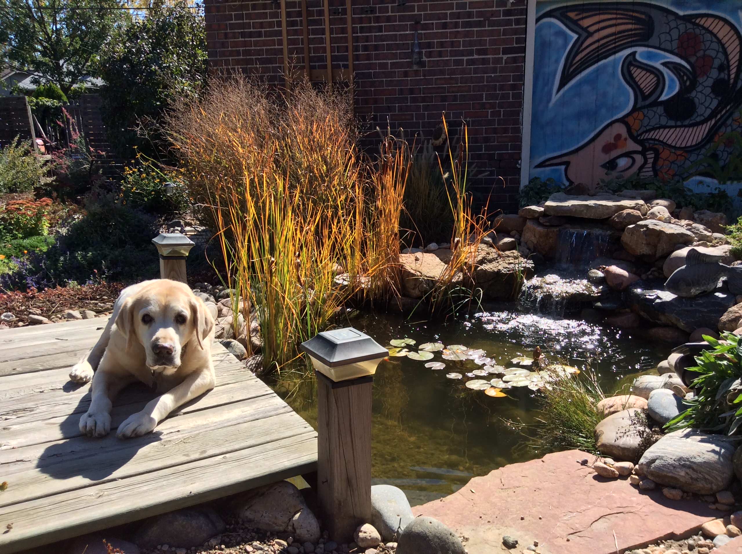 Custom Water Features