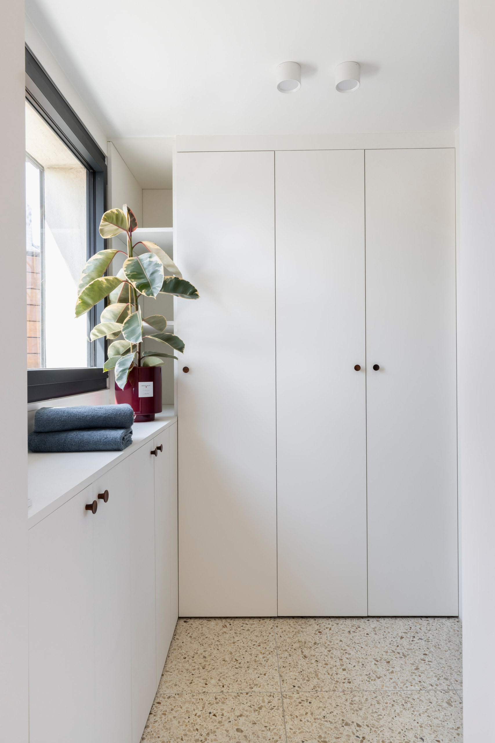 Espace Buanderie moderne