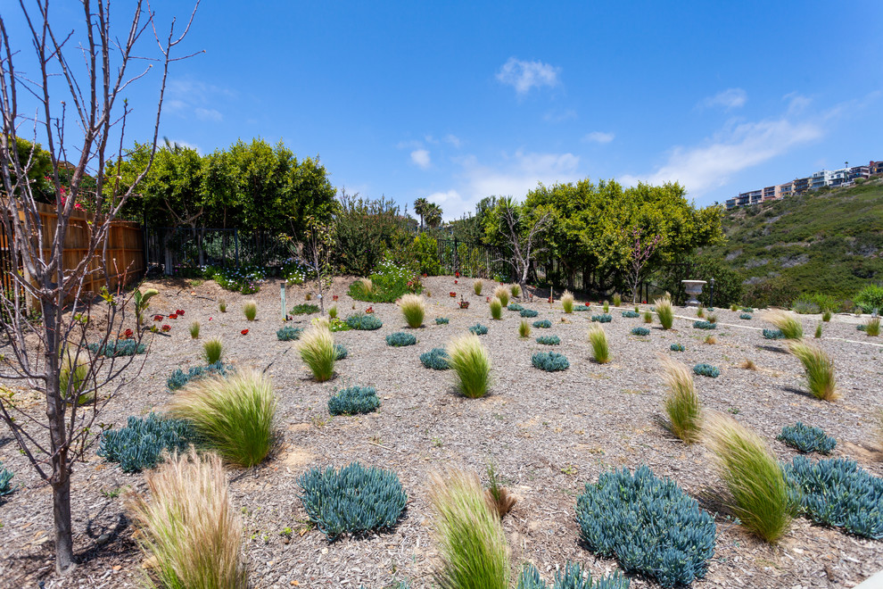 This is an example of a large and desert look backyard full sun xeriscape in Orange County.