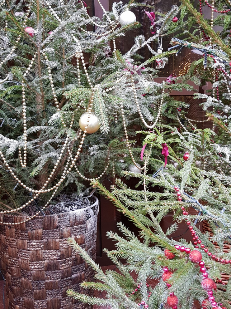 Новый год стучится в дверь