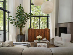 10 Favorite Easy-Care Houseplants to Grow Now