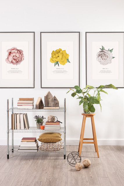 Paeonia Poster modern-wandteppiche