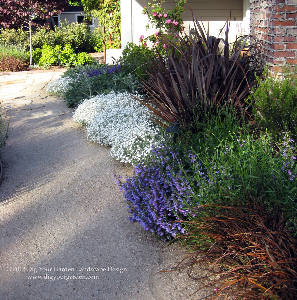 This is an example of a mediterranean front yard full sun garden for spring in San Francisco with a garden path.